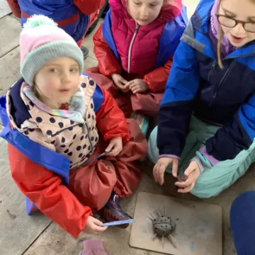 DED2A8A5-7141-4F28-AD77-E4EA65D2CD99