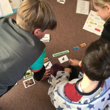 A73361CA-6DDF-4DC7-ACE9-E8FE4D086795