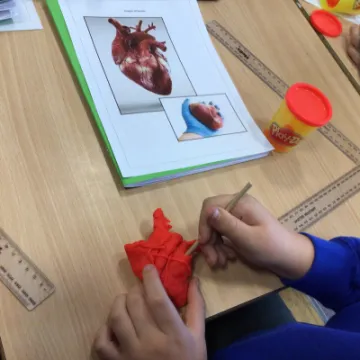 26921C68-C66D-4992-8506-0F24298E2380