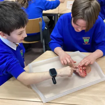 62A6B912-09C5-4922-9364-EEA820E6CE65