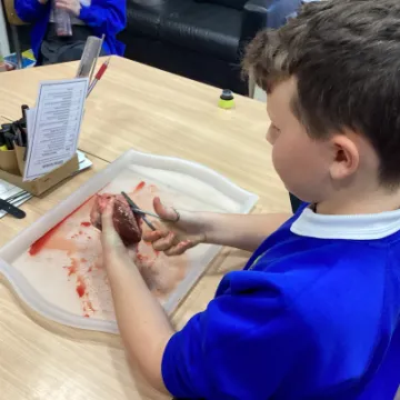 366C2CFB-1519-4053-997A-3B24A64796E5