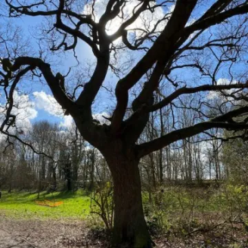 Keith Barker Photos March 2023 A6e3f1da 1d34 46c9 80b1 f4bfe8f3b9a5