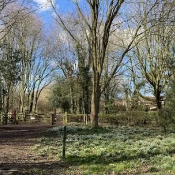 Keith Barker Photos March 2023 Be8da56c 5ef2 4d76 b0c9 c9441e414130_4_5005_c