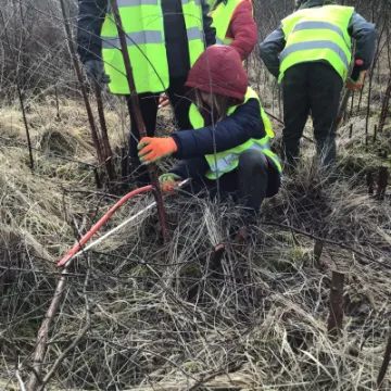 FCAB363C-DD22-48C7-B087-8848AD6CF69B