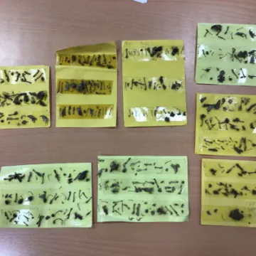 A7706534-1407-4192-BDF9-118985DD9626