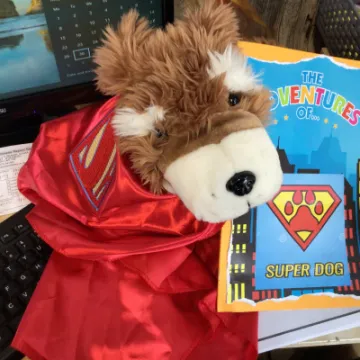 4E897A07-24FC-47BC-AA97-F849553897C7