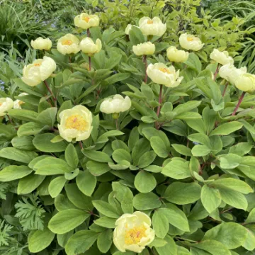 7194F2AB-D720-4A80-85E8-30CC596EB9A6