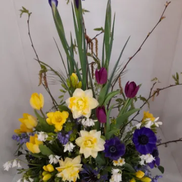 Image: 20230429 105153 001