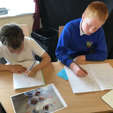 74B11642-B022-426A-97A7-06C6DF4EA6EA