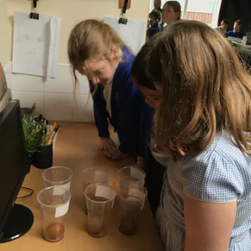 E89E1618-1E7F-4E72-9211-C397CA721BAA