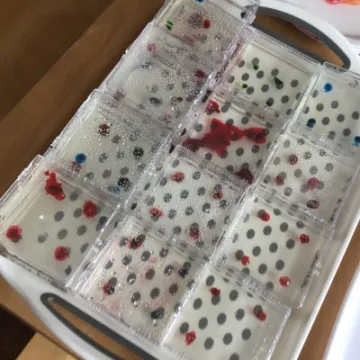 BE5E3A8E-9322-49C6-8383-2B0D9FD7A493