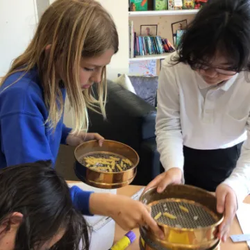 17496B16-F12B-4933-9981-AFB730DAFA09