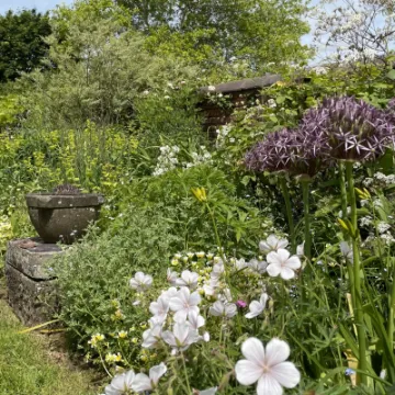 A5C2C48B-2F80-4694-926D-4A984541FEE7