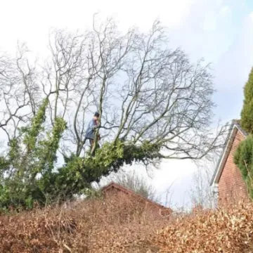 FB IMG 1681051964767