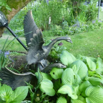 Flower Club Firs Garden June 2023 MD P1040287