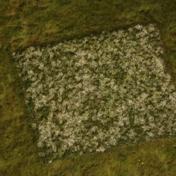 Drone 1