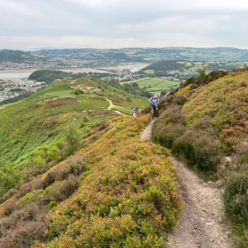 F6e4fd46 d81d 4db8 b2d8 768ade9b54d3