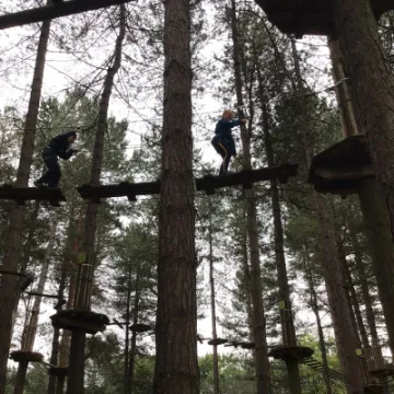 E2269D46-D721-4699-86A6-16DAF1566F5F