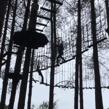 C2D1DDBD-9406-4C97-9462-7F6C4494AE20