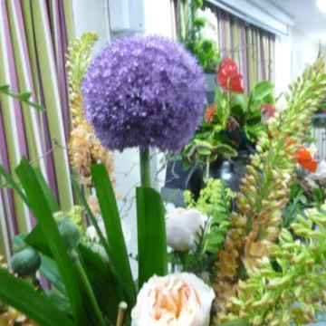 FLower Club July 2023 P1040295 (1)