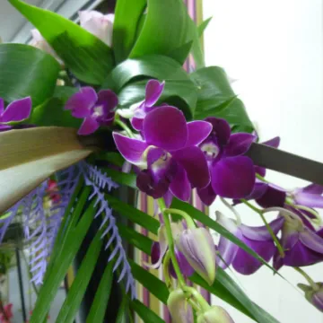 FLower Club July 2023 P1040297 (1)