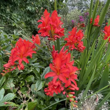 A86F3F8A-F519-4C60-A154-E3BEC4DDB915