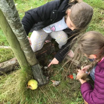 A903F56A-4419-482D-9E17-CC9691D8C32F