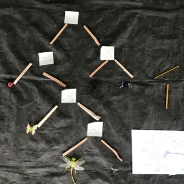 B0045CF9-36DE-4EB2-A442-99036FE2CEA1