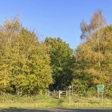 Image: 20231111 103601