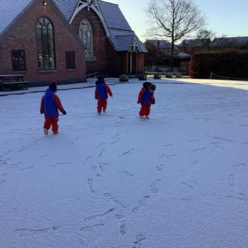 Snow 241