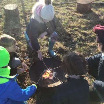 Forest schools