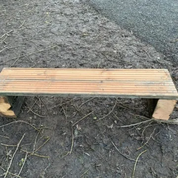 FS3