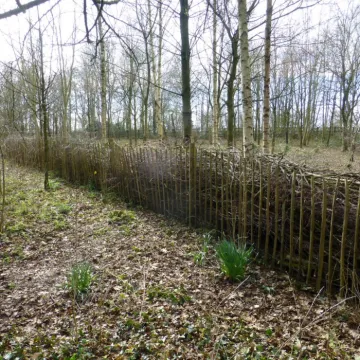 Tcw Dead Hedge Nearing Completion  2