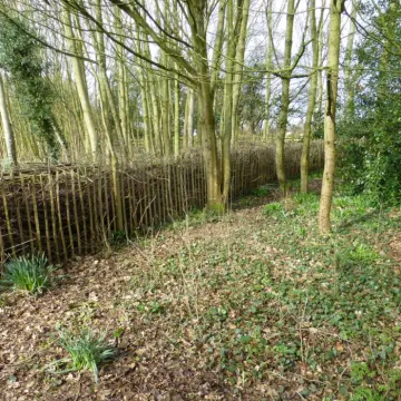 Tcw Dead Hedge Nearing Completion