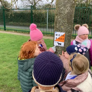 Orienteering