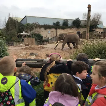 Zoo