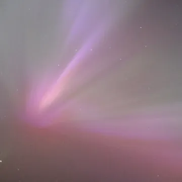 Aurora By Joanna Olivera