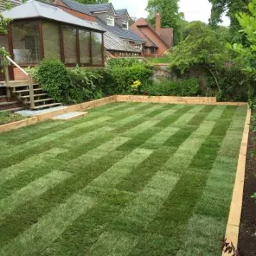 Garden landscape turf laying