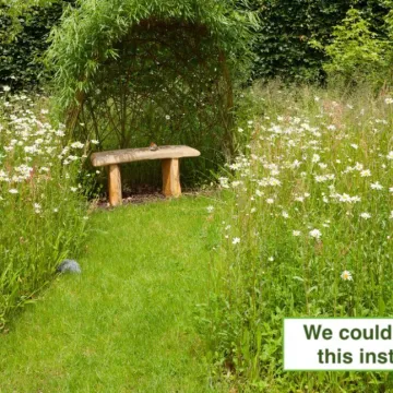 Wildlife meadow