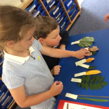 leaf