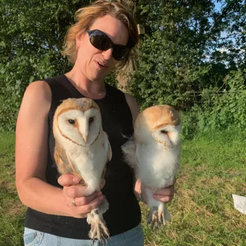 2024 Barn Owl Chicks