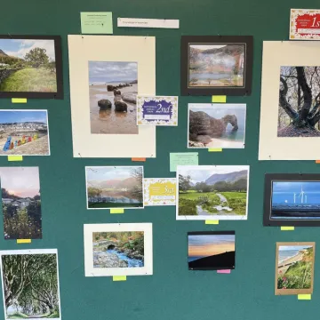 54517e90-A126-4d7f-9893-7d0c00699327