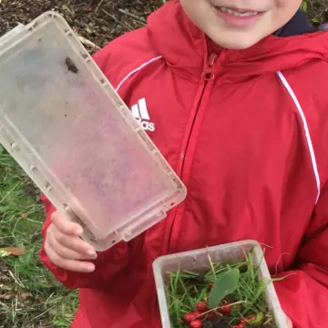 Bug Hunting 5