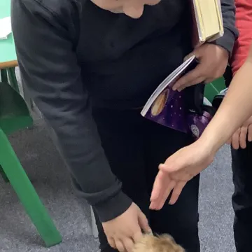 a