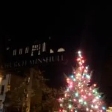 Christmas Lights 2014