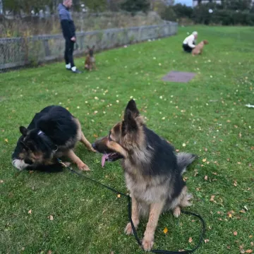 Whatsapp Image 2024-10-31 At 0