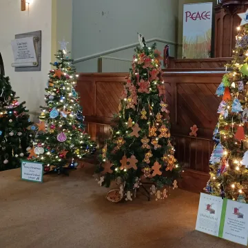 Hasland Christmas trees2