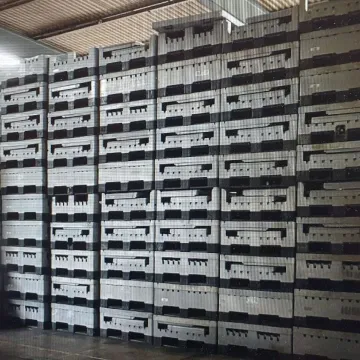 folding pallet boxes