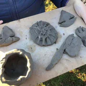 Forest schools history