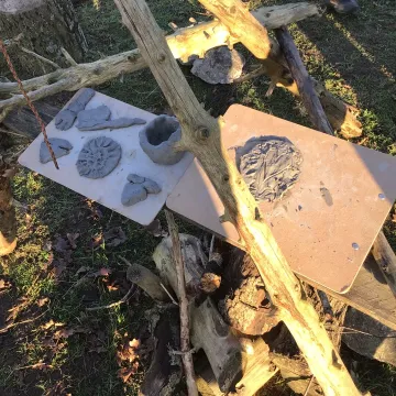 Forest schools history